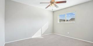 Lake Houston Pines Gallery 1