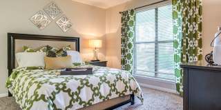 Canter Chase Gallery 28