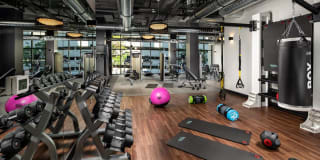 The Pearl Gallery 18