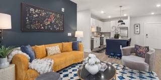 Solis Buffaloe Gallery 8