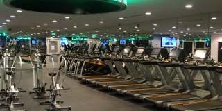 Torrey Gardens Gallery 9