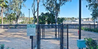 Forest Glen Gallery 20