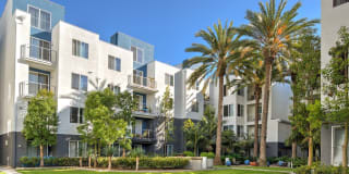 Avalon Playa Vista Gallery 32