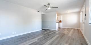 Rise at the Palms Gallery 21