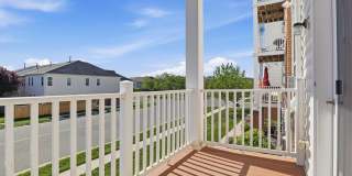 24636 WOOLLY MAMMOTH Terrace Gallery 34