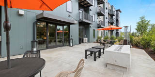 The Oliveen Gallery 37