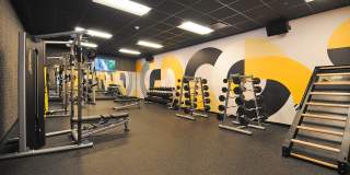 The Millie on Brush The Millie on Brush Gallery 22