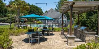 The Falls and Woods of Hoover Gallery 24