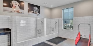 Nexus Brandon Gallery 29