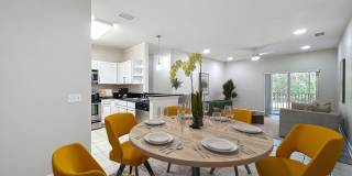 Marin at Harvard Gallery 1