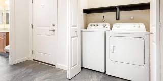 Olympus Alameda Gallery 16