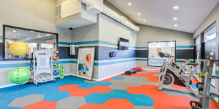 Argenta Gallery 3