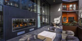 Alta Federal Hill Gallery 18