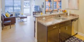 Irish Flats Gallery 9