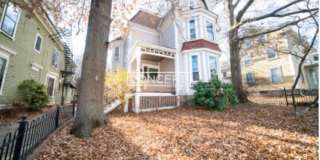 Unique 8 bed 2bath HOUSE with Yard, Basement , Easy Parking Gallery 1