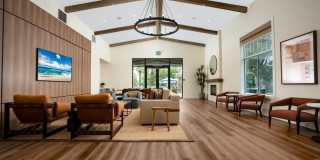 Camino Real Gallery 15