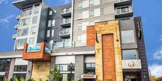 The Walkway Gallery 24