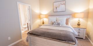 Lake Forest Gallery 50