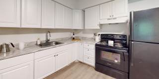 Palms on 31 Gallery 12