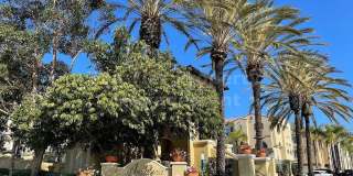 ***Gorgeous 2 bed / 2.5 bath / 1,202 sqft Townhome in Carmel Valley - Available 11/05*** Gallery 1