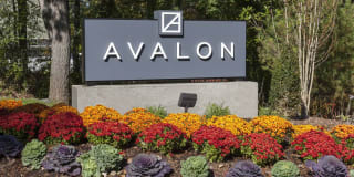 Avalon Burlington Avalon Burlington Gallery 38