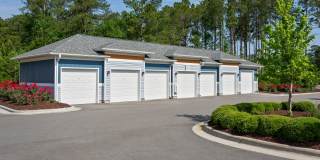 Hawthorne at Pine Forest Gallery 56