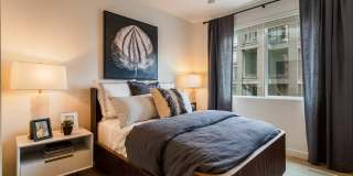 Markana Uptown Gallery 12