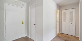 Spacious Ground Floor Condo in Silver Spring Gallery 4