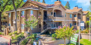 Greenback Ridge Gallery 1