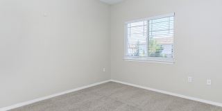 Creekside At Palmer Park Apartments Gallery 5