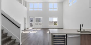 Ruby at the Society Gallery 17