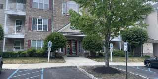 523 Sophee Lane Gallery 1