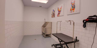 Radius Orlando Apartments Gallery 23