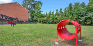 Turtle Lake Gallery 20