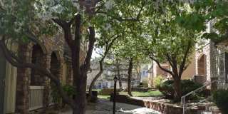 2 bed / 2 bath Condo  - Deer Creek Condos Southwest Littleton Gallery 18