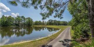 9512 Greenpointe Drive Gallery 16