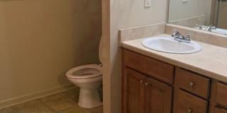 Nice 3 Bed 2 Bath Home! Available Now! Gallery 4