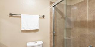 Cambridge Gallery 10