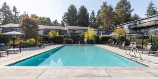 Alder Bellevue Gallery 18