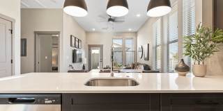 Modern Craftsman Black Cat Gallery 22
