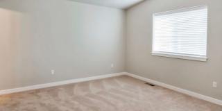 Newly Built 4bd 2.5ba in LSSD Gallery 7