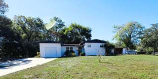 Bright  Updated Home with Spacious Yard and Modern Finishes Gallery 1