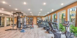 Aspire at Alper Gallery 40