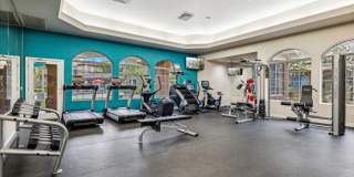 Silverbell Springs Gallery 32