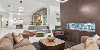 Adera Gallery 4