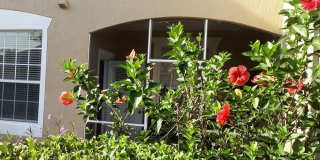 2307 BUTTERFLY PALM WAY Gallery 13