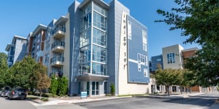 Indigo 19 Gallery 30