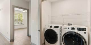 The Belle at the Lamar Gallery 58