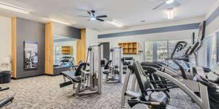 The Orion The Orion Gallery 7