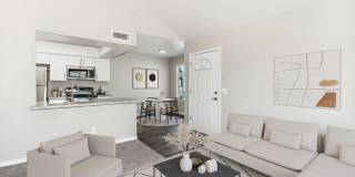 Palms at South Mountain Palms at South Mountain Gallery 1